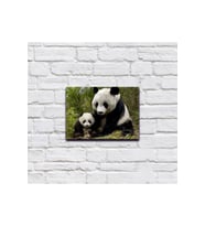 Panda Ve Yavrusu Ahşap Tablo Sevimli Hayvanlar