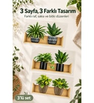 Raflı Bitki Tasarımlı Yapışkanlı Duvar Sticker 20x30 cm 3'lü Set Çiçek Desenli