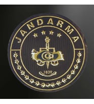 Jandarma Özel Gold 3D Arması, Yeni Model Tip Cırtlı, Standart Ölçü, (Çok Renkli)
