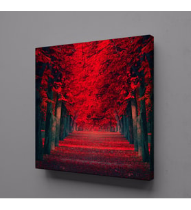 KIRMIZI AĞAÇLI YOL KANVAS TABLO 120x120cm (Karışık)