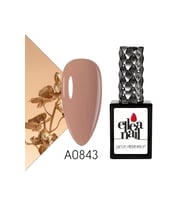 Profesyonel Kalıcı Oje 15 ml A0843