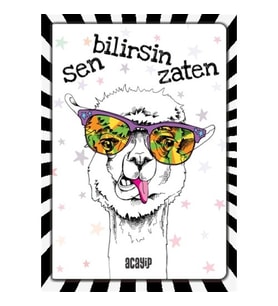 Havalı Panda Defter - Çılgın Defterler -