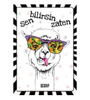 Havalı Panda Defter - Çılgın Defterler -