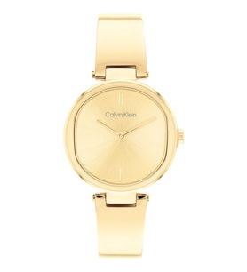 Calvin Klein CK25200309