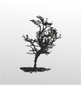 Folyo Sticker Ağaç 90 cm uzunluk (Karışık)