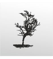 Folyo Sticker Ağaç 90 cm uzunluk (Karışık)