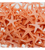 Polyester Deniz Yıldızı Minik Boy  0.5 CM- 1.5 CM (100 Adet)  Turuncu