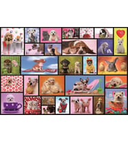 Educa 1000 Parça Puzzle Shared Moments