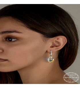 Swarovski Crystal Taşlı Gümüş Damla Sallantılı Kadın Küpe