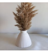 PAMPAS HUNİ VAZOSU BEYAZ