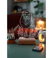 Kişiye Özel 3D Aslan 16 Renk Dekoratif Led Lamba