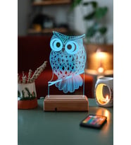 3D Baykuş 16 Renk Gece Lambası