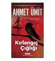 Kırlangıç Çığlığı