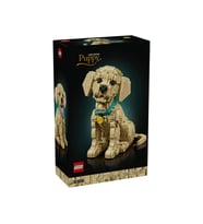 LEGO 11384  Icons Yavru Golden Retriever