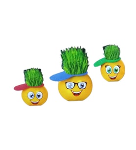 Emoji Çim Adam Yapım Seti-Okul Eğitici Deney Seti 1 Adet
