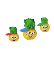 Emoji Çim Adam Yapım Seti-Okul Eğitici Deney Seti 1 Adet