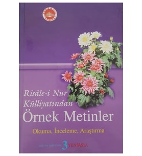 Risale-i Nur Külliyatından Örnek Metinler Okuma, Inceleme, Araştırma 3. Kitap