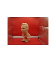 Paul Walker Büstü 15 cm