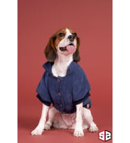 Köpek kıyafeti, Salya Store Indigo Aerobin Kadife Mont KK-121 (INDIGO-LACIVERT)