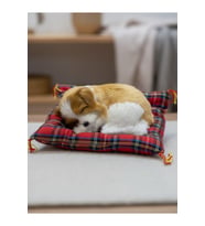 Peluş Yavru Köpek Oyuncak Minder Üstünde Uyuyan Kedi Küçük Boy 10 x 11