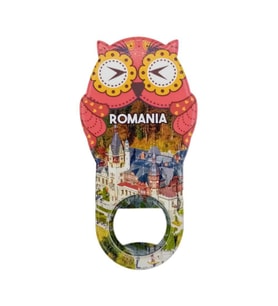 Romanya Temalı Baykuş Magnet Kapak Açacak (Karışık)