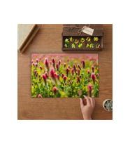 Kırmızı Yonca Bitkisi - Doğa - Manzara Tasarımı 240 parça Ahşap Puzzle Ahşap Kutuda MP01637