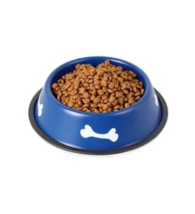 Renkli Kemik Desenli Metal Mama Kabı
