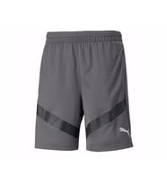 Puma Teamfinal Training Shorts Erkek Futbol Antrenman Şortu 65755313 Gri