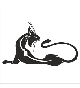KEDİ FOLYO STİCKER 60cm Uzunluk (Karışık)