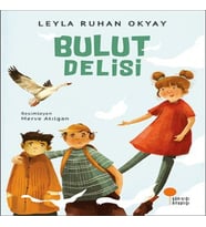 Bulut Delisi