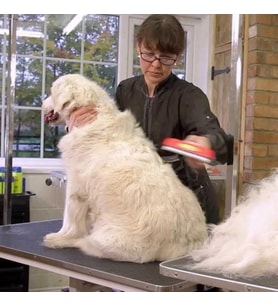 Mcg® 23 KG Üzeri Uzun Tüylü Köpekler İçin Tüy Toplayıcı Ergonomik Tarak