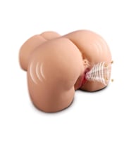 İleri Geri Hareketli Emişli anl Vajina Girişli Sesli Suni Kalça Titreşimli Vajina 5.5 kg