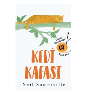 Kedi Kafası