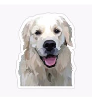 Golden Retriever Köpek Sticker Araba Oto Yapıştırması 17CM A2