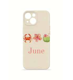 iPhone 15 Plus Vorian İnce Kamera Korumalı Mika Kılıf June Seaside