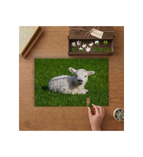 Çimenlerde Yatan Kuzu Tasarımı 240 parça Ahşap Puzzle Ahşap Kutuda MP07186