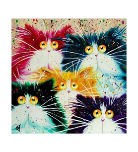 Şaşkın Kediler Sayılarla Boyama Seti 40x50 cm (Tuvale Gerili)