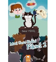 Gece Kedisi - Piksel 2