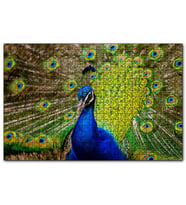 Cakapuzzle Hint Tavuskuşu  Puzzle Yapboz MDF (Ahşap) (120 Parça)