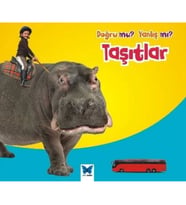 Taşıtlar / Doğru mu? Yanlış mı?