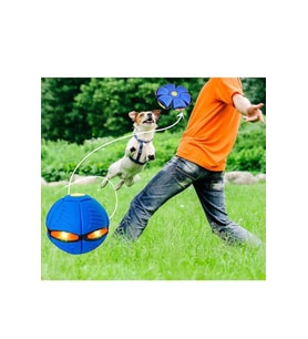16 cm Işıklı Zıplayan Frizbi Köpek Oyun Topu Diskten Topa Dönüşen Uçan Disk Plaj Bahçe Oyuncağı Top (Karışık)
