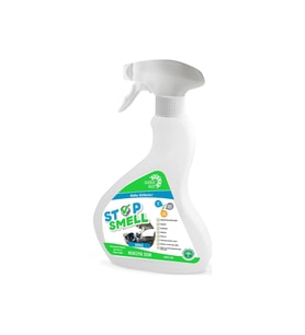 Otomobil İçin Koku Giderici Sprey 450 ML