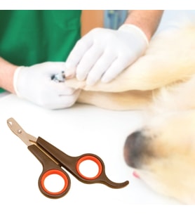 Küçük Çelik Uçlu Kedi Köpek Evcil Hayvan Tırnak Makası Pati Bakım Aleti Ergonomik Kaymaz Sap (5343)