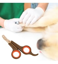 Küçük Çelik Uçlu Kedi Köpek Evcil Hayvan Tırnak Makası Pati Bakım Aleti Ergonomik Kaymaz Sap (5343)