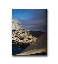 Modern Canvas Tablo MİND342