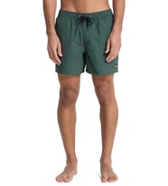 Quiksilver Everyday 15 Erkek Deniz Şortu