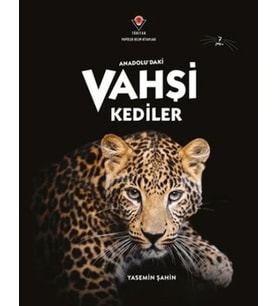 Anadolu'Daki Vahşi Kediler
