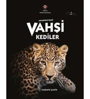 Anadolu'Daki Vahşi Kediler