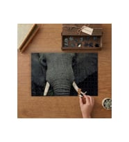 Yakın Çekim Fil Tasarımı 240 parça Ahşap Puzzle Ahşap Kutuda MP04994