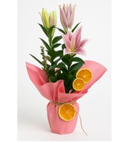 Pembe Buket Kağıtlı Pembe Lilyum